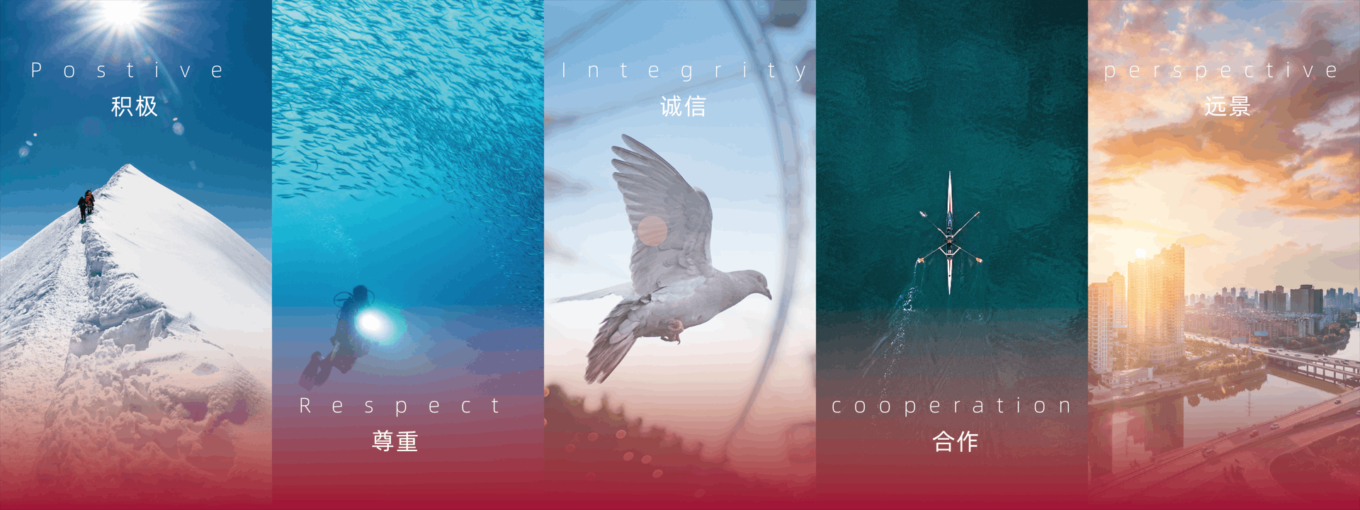 積極，尊重，誠信，合作，遠景