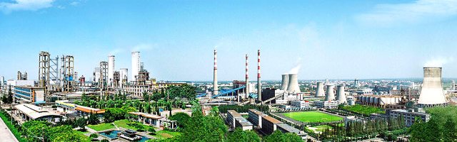 P . 山東陽(yáng)煤恒通化工股份