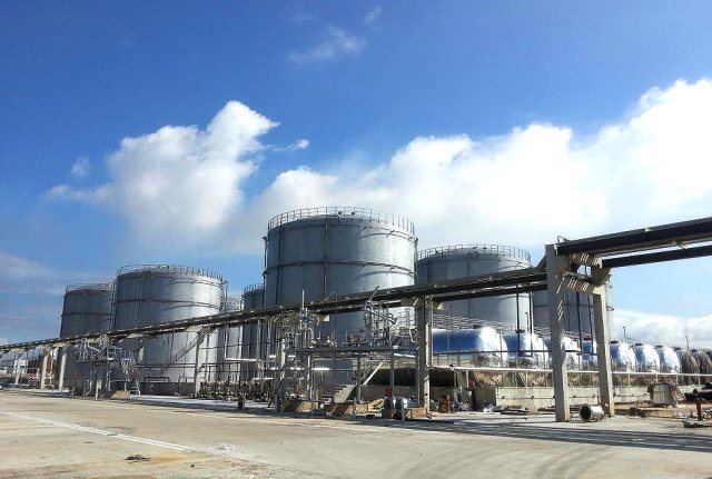 W . 廣東珠海長成化學(xué)工業(yè)