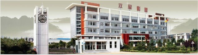 W . 江蘇雙星彩塑新材料