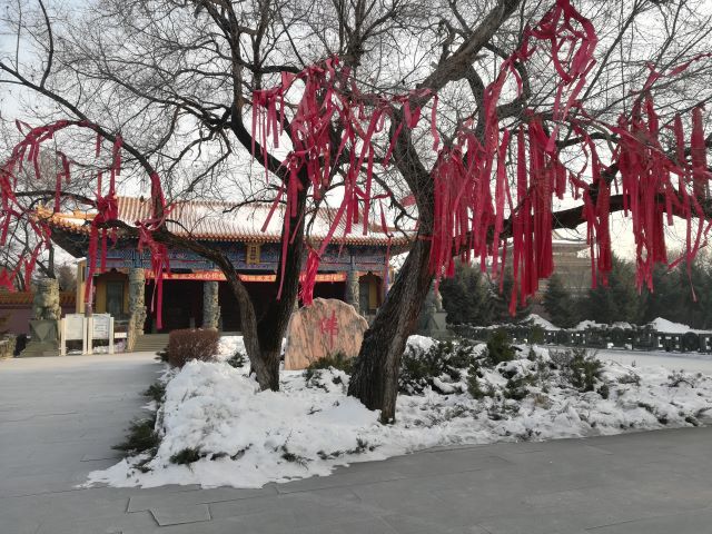 G . 黑龍江大慶果成寺-2 G . 黑龍江大慶果成寺-2